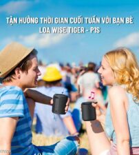 Loa Bluetooth Wise Tiger Đen - P1S-BLACK-2