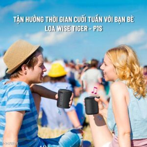Loa Bluetooth Wise Tiger Đen - P1S-BLACK
