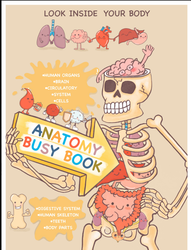 Human Anatomy Busy Book